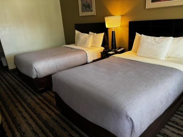 Quality Inn Navajo Nation Capital Window Rock Luaran gambar